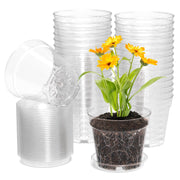 WSMKSZ front view of 30 transparent pots showing tidy starter setup and visibility