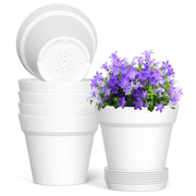 WSMKSZ front view showing six white 5-inch pots and trays for neat organization