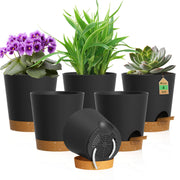 WSMKSZ front view of six-pack planters shows neat modern styling and convenience