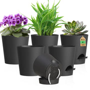 WSMKSZ front view of 6-pack planters showing modern black finish and compact size