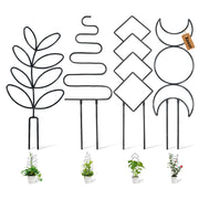 Xeeol front overview of four trellis shapes showing compact design and benefits