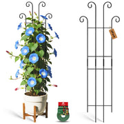 Xeeol trellis front view showing clean metal grid and upright support benefits