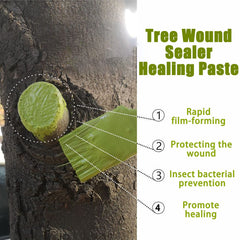XIRUJNFD applied sealer on pruned branch demonstrating protection benefit