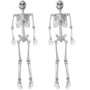XONOR front view of both 5.4ft skeletons showing full-body realistic detail