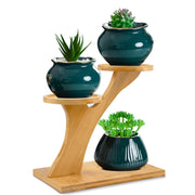 XXXFLOWER front view showing compact three-tier plant display and style benefit