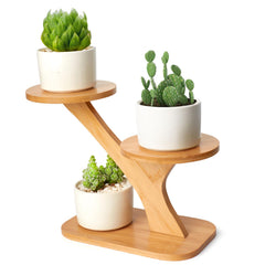 XXXFLOWER front view showing three-tier stand and neat plant display for compact spaces