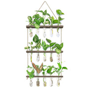 XXXFLOWER front view propagation station showing tidy display and space saving