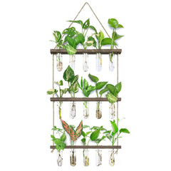 XXXFLOWER front view propagation station showing tidy display and space saving