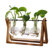 XXXFLOWER front view showing wooden stand and three glass bulbs for stylish desktop display