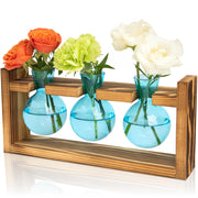 XXXFLOWER front view with three blue bulb vases showing elegant display