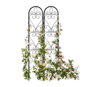 XYCCRX trellis front view showing full panel and decorative look benefit framing plants