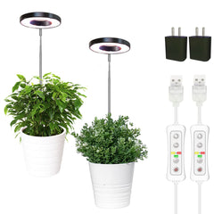 yadoker front view lamp in pot showing neat placement and space-saving benefit