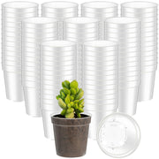 Yaomiao front packaging showing 200 clear pots and bulk value