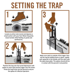 YARDDOG trap installed inside mole runway protecting lawn by intercepting tunnels