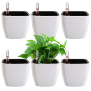 yarlung front packaging view showing six planters and neat arrangement, clear benefit organization