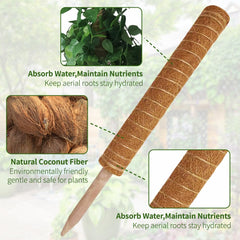 YAWAHOME wooden soil plug inserted into pot securing moss pole upright