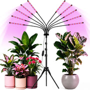 Yehsence front view with tripod showing full product and quick setup benefit