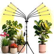 Yehsence front view with tripod showing wide coverage and stable setup