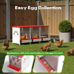 YENAM angled shot highlighting three private nesting compartments for hen comfort