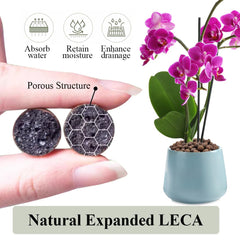 YISZM close-up porous LECA texture promoting root aeration