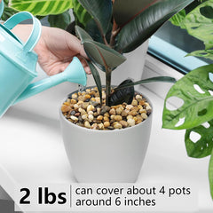 YISZM stones forming a drainage layer in a pot to protect roots
