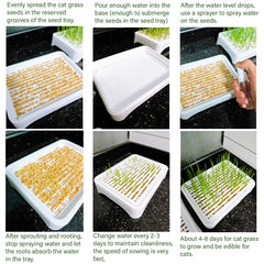 YjiaYjiaY inner tray detail with ventilation aiding faster seed germination