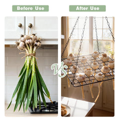 Yohsnor rack with garlic hung roots-up promoting even drying and flavor retention