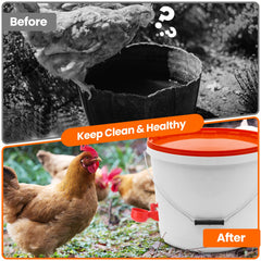 Yrangee cup with chicken drinking, promotes clean accessible hydration