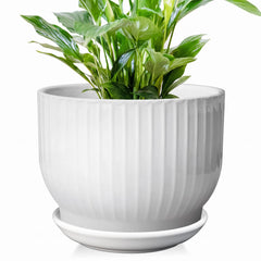 YUFDA white pot front view showing clean lines and modern look