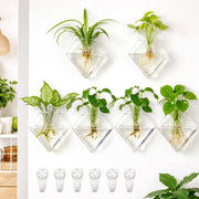 Yungyan front view of six clear diamond vases showing elegant wall display and cohesive decor