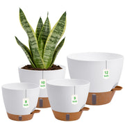 zdzdff front view of four planters showing set and clean finish for coordinated displays
