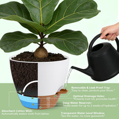 zdzdff removed saucer reservoir showing refill access and mess-free watering advantage