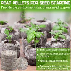 ZeeDix pellets placed in a seed tray ready to sow seeds, tidy and space-saving