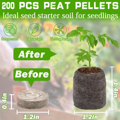 ZeeDix single expanded pellet top view showing moist plug for quick germination