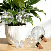 ZephyrBloom front view of globes showing elegant decorative hydration benefit