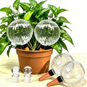ZephyrBloom front view of four globes showing elegant clear design and durability
