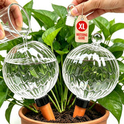 ZephyrBloom front view of two globes showing elegant design and durability