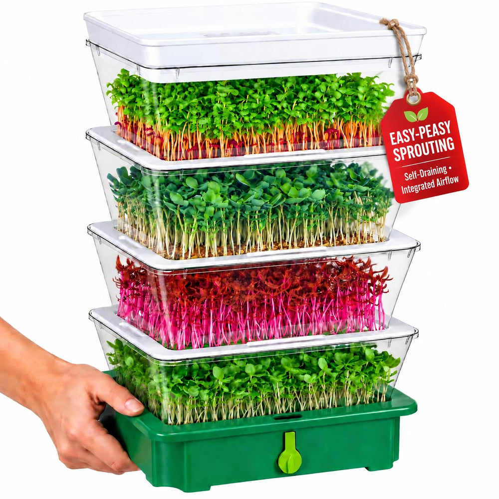 ZESTIGREENS front view showing full kit and neat countertop storage benefit