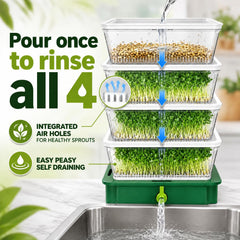 ZESTIGREENS top tray being filled via spout demonstrating easy watering