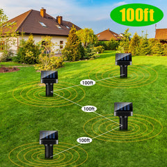 ZLieatmp installed in lawn demonstrating placement protecting flower beds and turf
