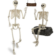 Znorso front view of both 5.4ft skeletons showing realistic proportions and impact