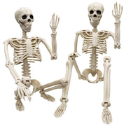 Znorso front view of two 36-inch skeletons showing scale and portability benefits