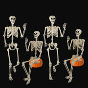 Znorso front view of four skeletons pack showing value and display options