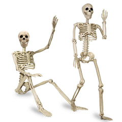 Znorso front view of both skeletons showing full-body pose options and display versatility