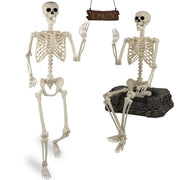 Znorso skeleton front view showing realistic full-body bones and impact
