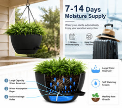 zople close-up of reservoir fill port for easy two-week watering