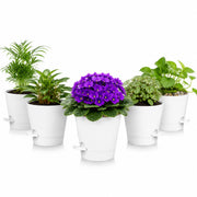 zople front view white pack showing five clean planters and neat design benefit: cohesive display