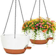 zople hanging planter front pair showing size and aesthetic benefits