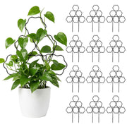 ZOUTOG trellis front view showing shape and stable design benefit