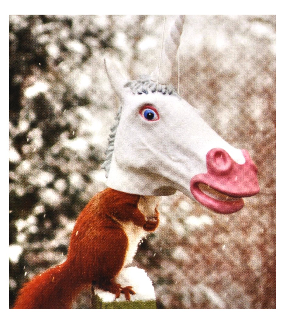 Accoutrements unicorn head hanging in tree with squirrel approaching for amusement
